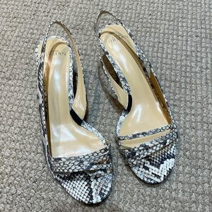 Alexandre Birman skin heels